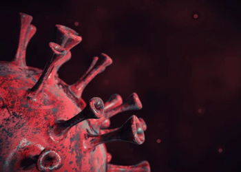 O primeiro caso foi registrado em Indaiatuba. Foto: Reprodução