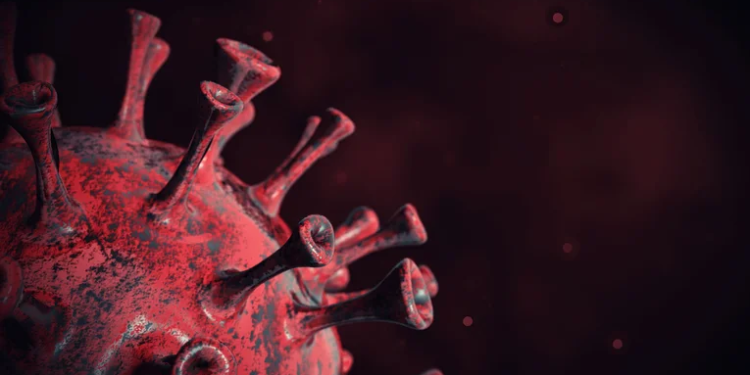 O primeiro caso foi registrado em Indaiatuba. Foto: Reprodução