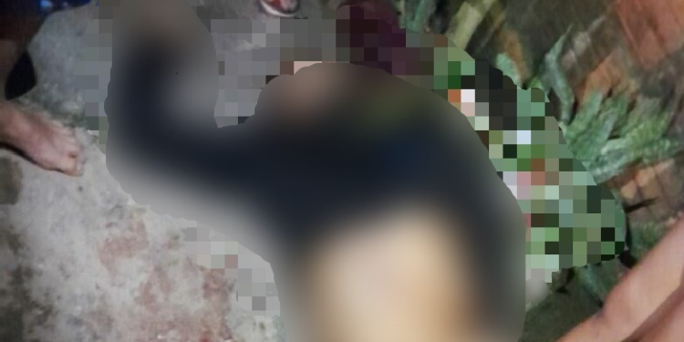 O crime ocorreu na noite desta segunda-feira (23). Foto: Reprodução