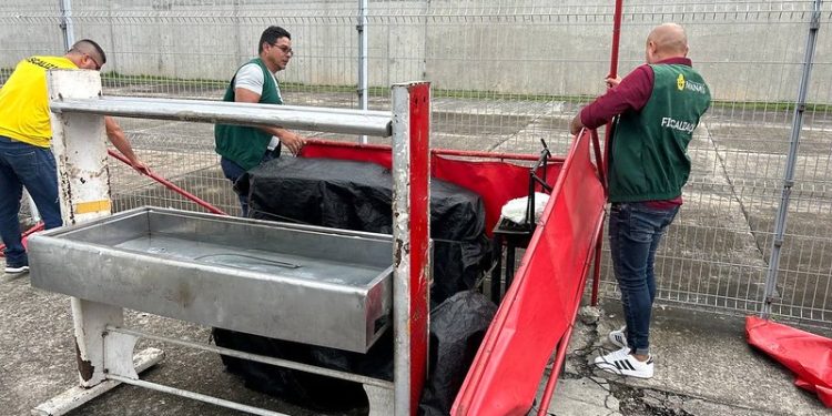 A ação está sendo realizada em três áreas da zona Centro-Sul da capital. Foto: Gildo Smith / Semacc