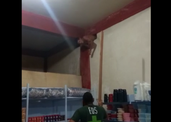 O homem ainda foi agredido e ficou gritando de dor. Foto: Reprodução