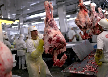 O governo do Pará disse que o caso foi identificado no sudeste do estado. Foto: Reprodução/Internet