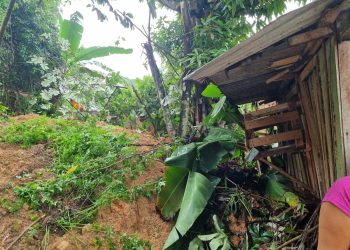 O barranco desabou de madrugada, fazendo as famílias saírem desesperadas. Foto: Defesa Civil - Divulgação