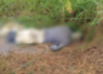 O cadáver foi encontrado em Manaquiri. Foto: Reprodução