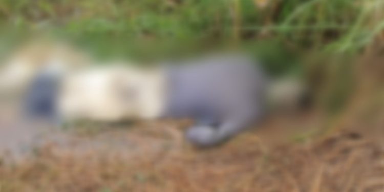 O cadáver foi encontrado em Manaquiri. Foto: Reprodução