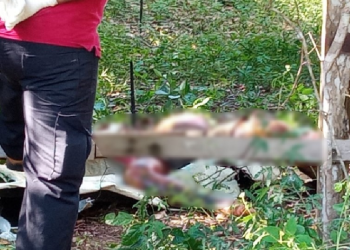 O corpo foi encontrado na tarde desta quarta-feira (1º). Foto: Reprodução