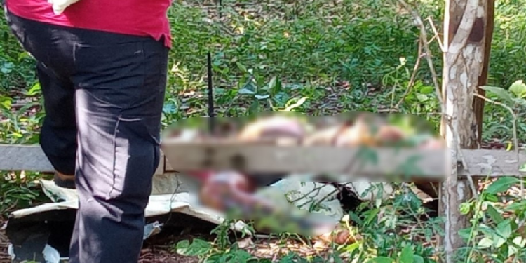 O corpo foi encontrado na tarde desta quarta-feira (1º). Foto: Reprodução