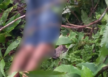 O corpo foi encontrado na tarde desta quarta-feira (22) e a vítima parece jovem. Foto: Reprodução