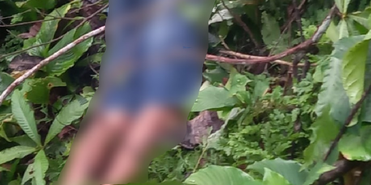 O corpo foi encontrado na tarde desta quarta-feira (22) e a vítima parece jovem. Foto: Reprodução