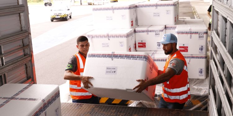 O Amazonas vai iniciar a campanha um mês antes dos demais estados brasileiros. Foto: Antônio Lima / Secom