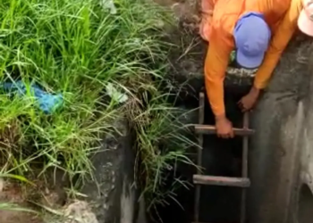 Foto: PRF/Divulgação