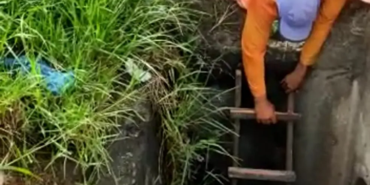 Foto: PRF/Divulgação