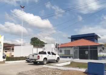 Ela teve a prisão temporária convertida em preventiva pela Justiça. Foto: Divulgação/PC-AM