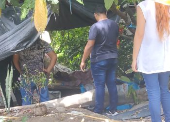 Fotos: Pautas Diárias