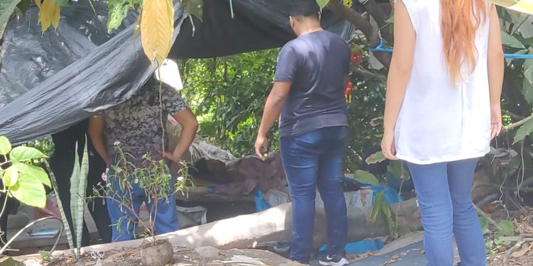 Fotos: Pautas Diárias