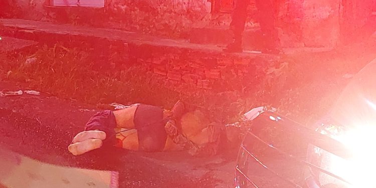 Fotos: Pautas Diárias