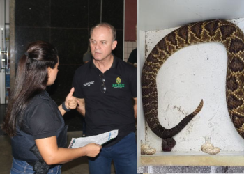 Dos estabelecimentos, três foram interditados. Foto: Carlos Soares/SSP-AM e Divulgação/Internet