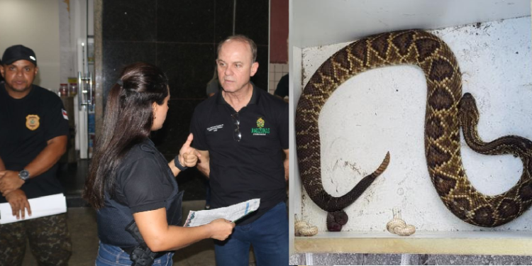 Dos estabelecimentos, três foram interditados. Foto: Carlos Soares/SSP-AM e Divulgação/Internet