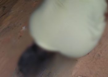 O crime ocorreu na noite desta quarta-feira (15) e a vítima foi abandonada por um carro. Foto: Reprodução