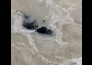 O corpo foi encontrado após a forte chuva que atingiu a cidade neste domingo (12). Foto: Reprodução