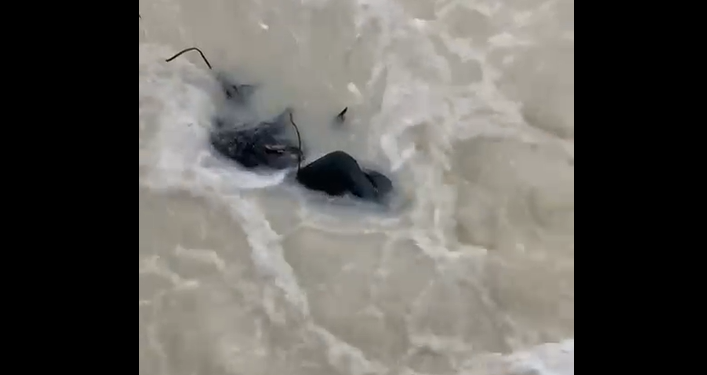 O corpo foi encontrado após a forte chuva que atingiu a cidade neste domingo (12). Foto: Reprodução