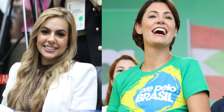 O projeto foi apresentado nesta segunda-feira (6) e começou a tramitar no SAPL nesta terça-feira (7). Foto: Reprodução