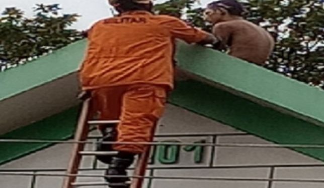 O homem ficou horas em cima do telhado até desistir e descer com o bombeiro. Foto: Reprodução