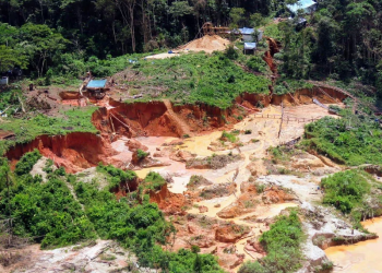 A menina achou que ia trabalhar como cozinheira. Foto: Reprodução