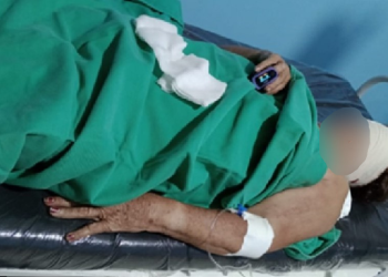 Duas idosas já foram atacadas e a população está com medo. Foto: Reprodução