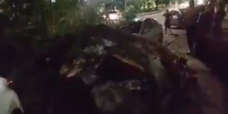 A árvore estava condenada, cheia de cupim. Foto: Reprodução