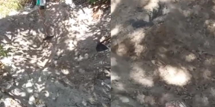 O corpo foi encontrado nesta quinta-feira e a suspeita é que seja de um homem desaparecido há três dias. Foto: Reprodução