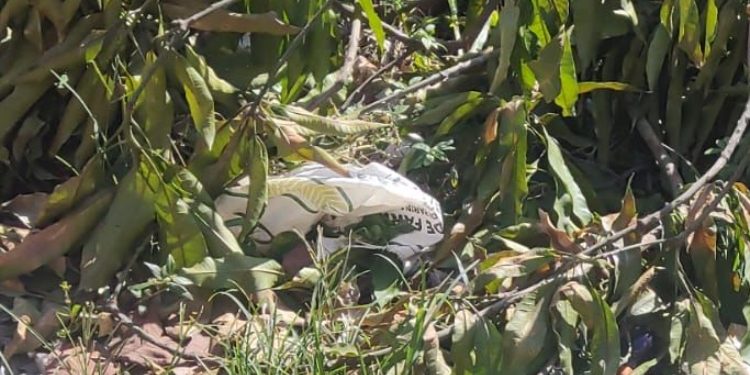 O corpo foi encontrado nesta manhã. Foto: Reprodução