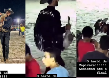 O vídeo foi postado no perfil de Luisa Mell. Foto: Reprodução