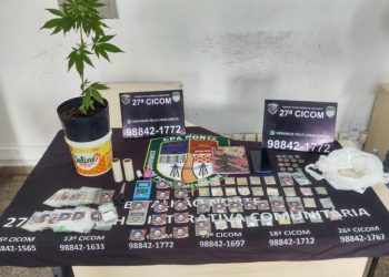 Até um pé supostamente de maconha foi encontrado no local. Foto: Reprodução