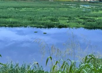 O crime ocorreu na tarde desta sexta-feira (14). Foto: Reproução