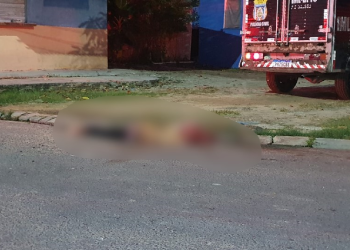 O menino foi atingido por tiros e facadas. Foto: Reprodução