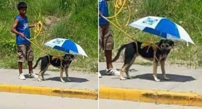 Foto: Reprodução/Facebook Joss R. Medina