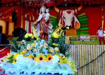 O momento de recepção em honra a Nossa Senhora Carmo foram ofertado flores e donativos pelos diretores do Boi-Bumbá Garantido. Fotos: Marcondes Maciel