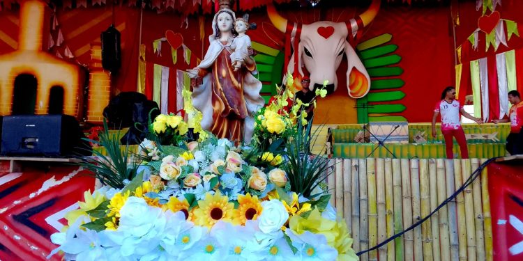 O momento de recepção em honra a Nossa Senhora Carmo foram ofertado flores e donativos pelos diretores do Boi-Bumbá Garantido. Fotos: Marcondes Maciel