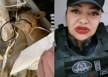 O caso foi denunciado pela sargento Eliane Pontes. Foto: Reprodução