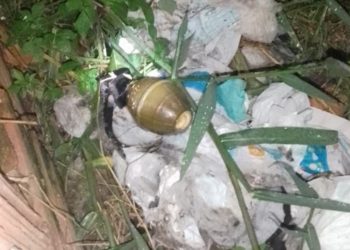 O Grupo Marte foi acionado para recolher o artefato. Foto: Reprodução