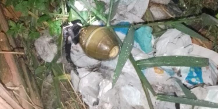 O Grupo Marte foi acionado para recolher o artefato. Foto: Reprodução