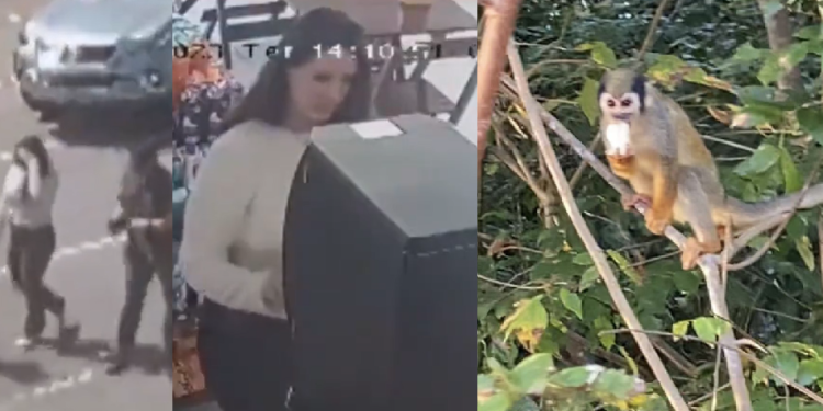 Lana parou em uma loja de conveniência e comprou um café. Foto: Reprodução