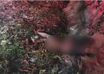 O crime ocorreu na noite desta sexta-feira (12). Foto: Reprodução