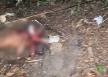 O homem estava sem identificação. Foto: Reprodução