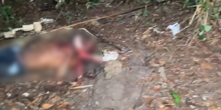 O homem estava sem identificação. Foto: Reprodução