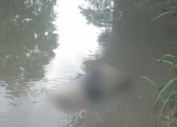 A polícia foi acionada após moradores verem o corpo boiando. Foto: Reprodução