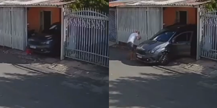 A menina sobreviveu sem grandes ferimentos. Foto: Reprodução