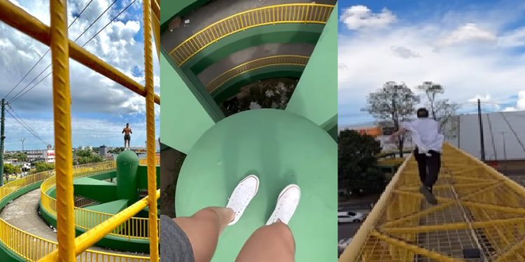 Eles pulam, correm e escalam com muita facilidade. Foto: Reprodução/Instagram