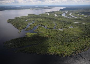 Fotos: Lucas Silva/ Secom